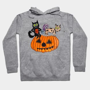 Halloween black Cat. Halloween party pumpkin Hoodie